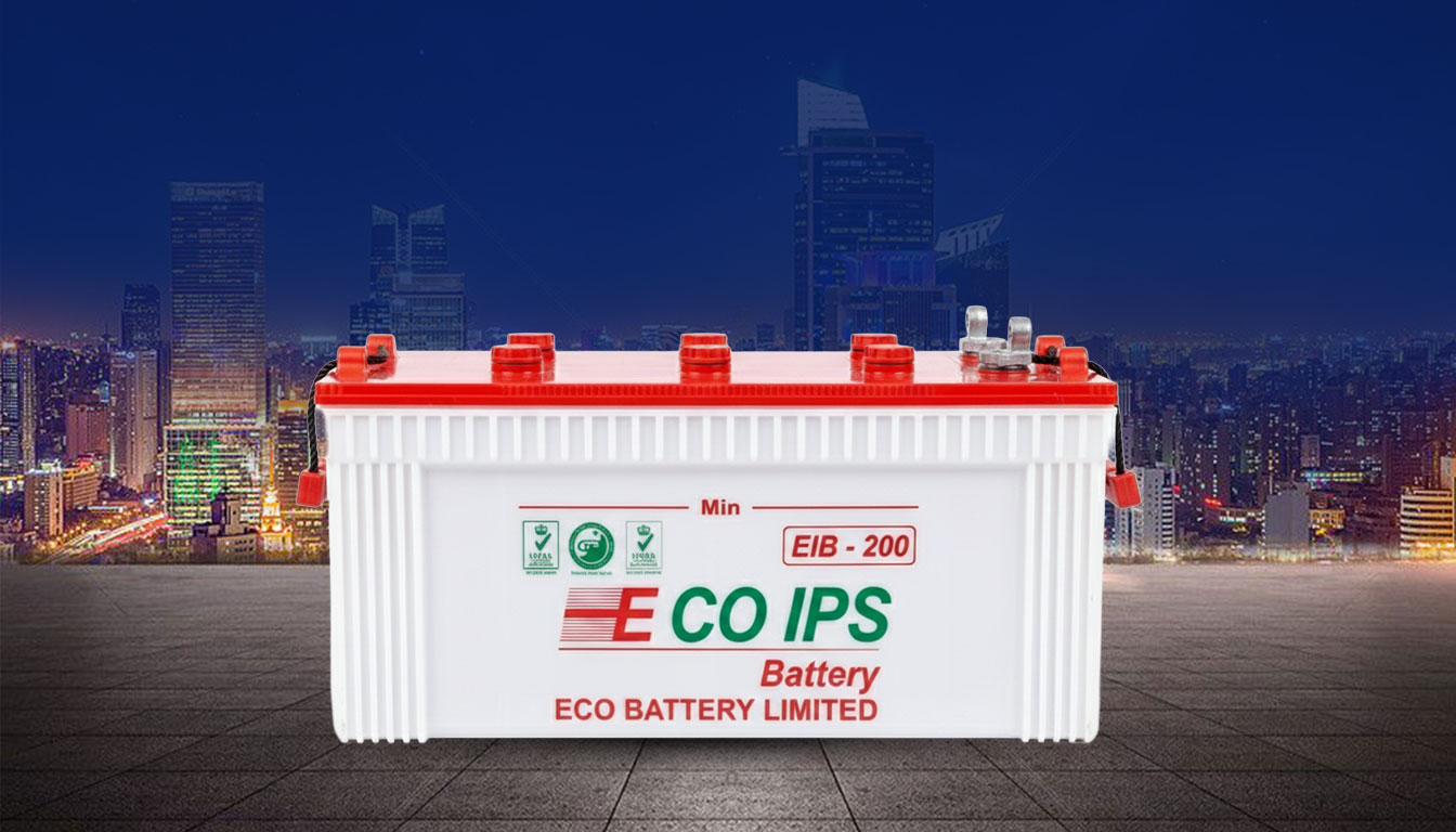 IPS-01